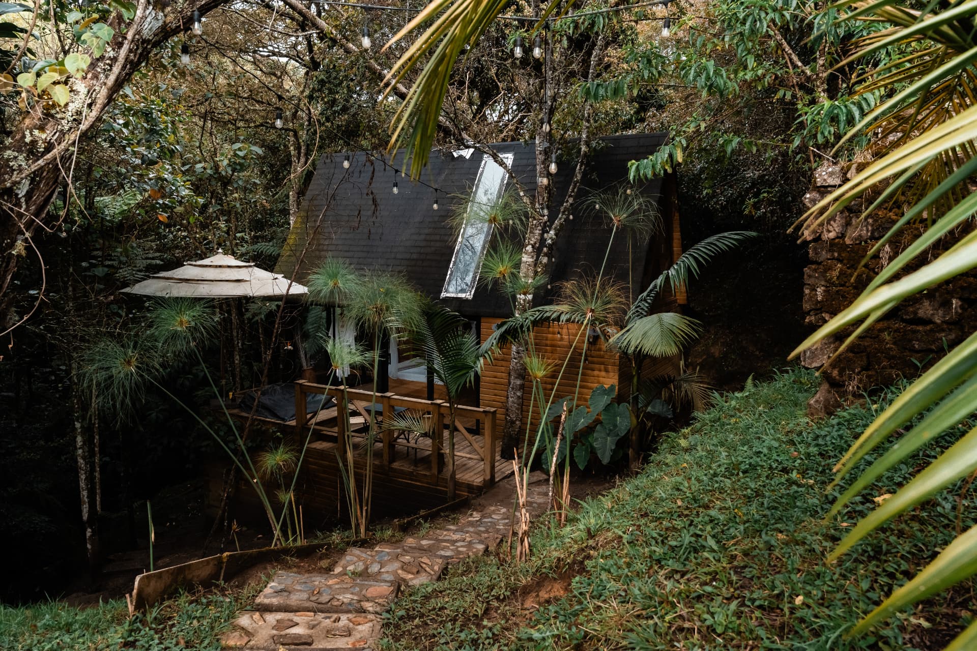Cabaña Onírico rodeada por el bosque de Santa Elena